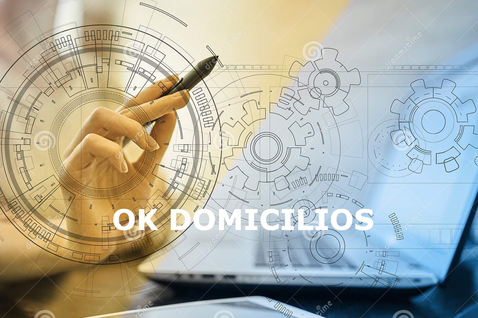 Proyecto OK Domicilios