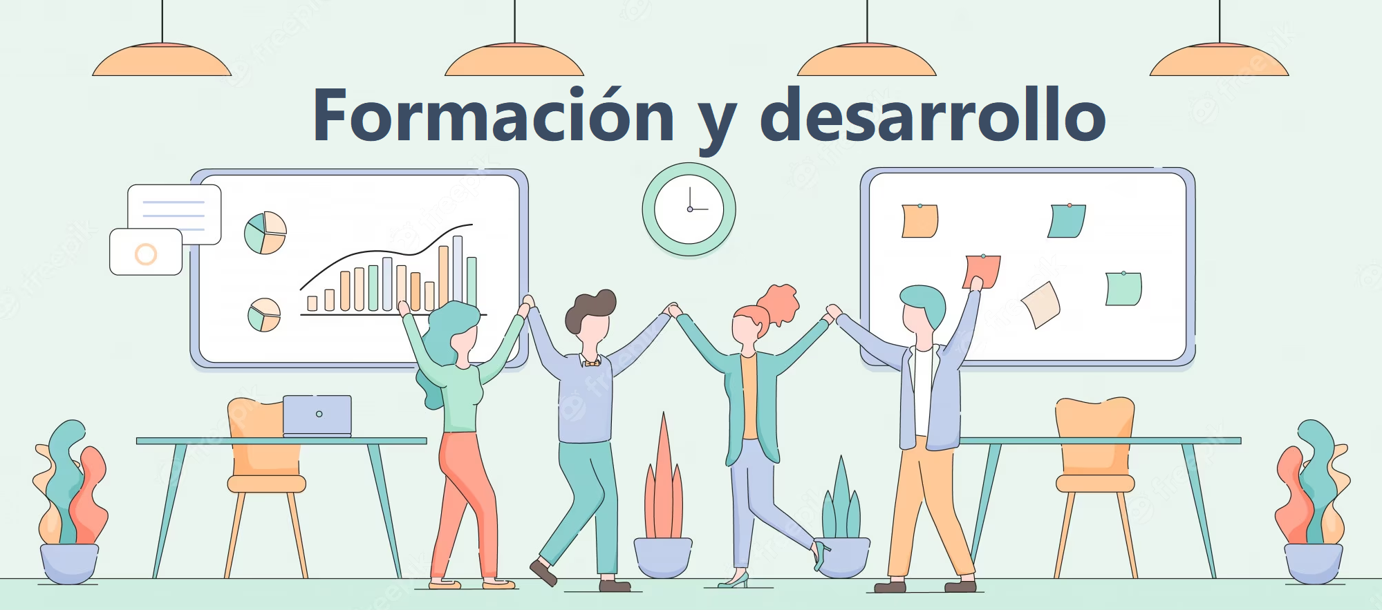 Formación y desarrollo